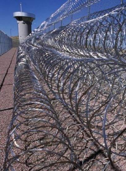 gay for the stay prison